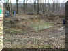pond c2.jpg (102684 bytes)
